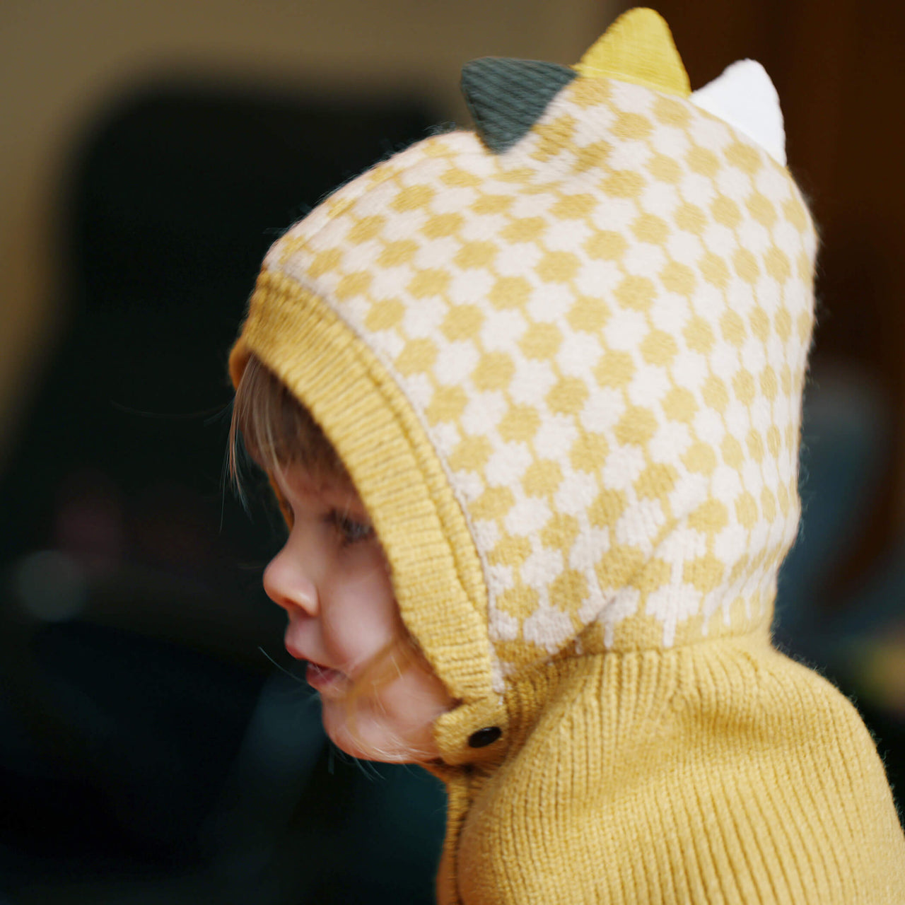 Toddler's Dinosaur Pullover Knitted Snood And Hat In One