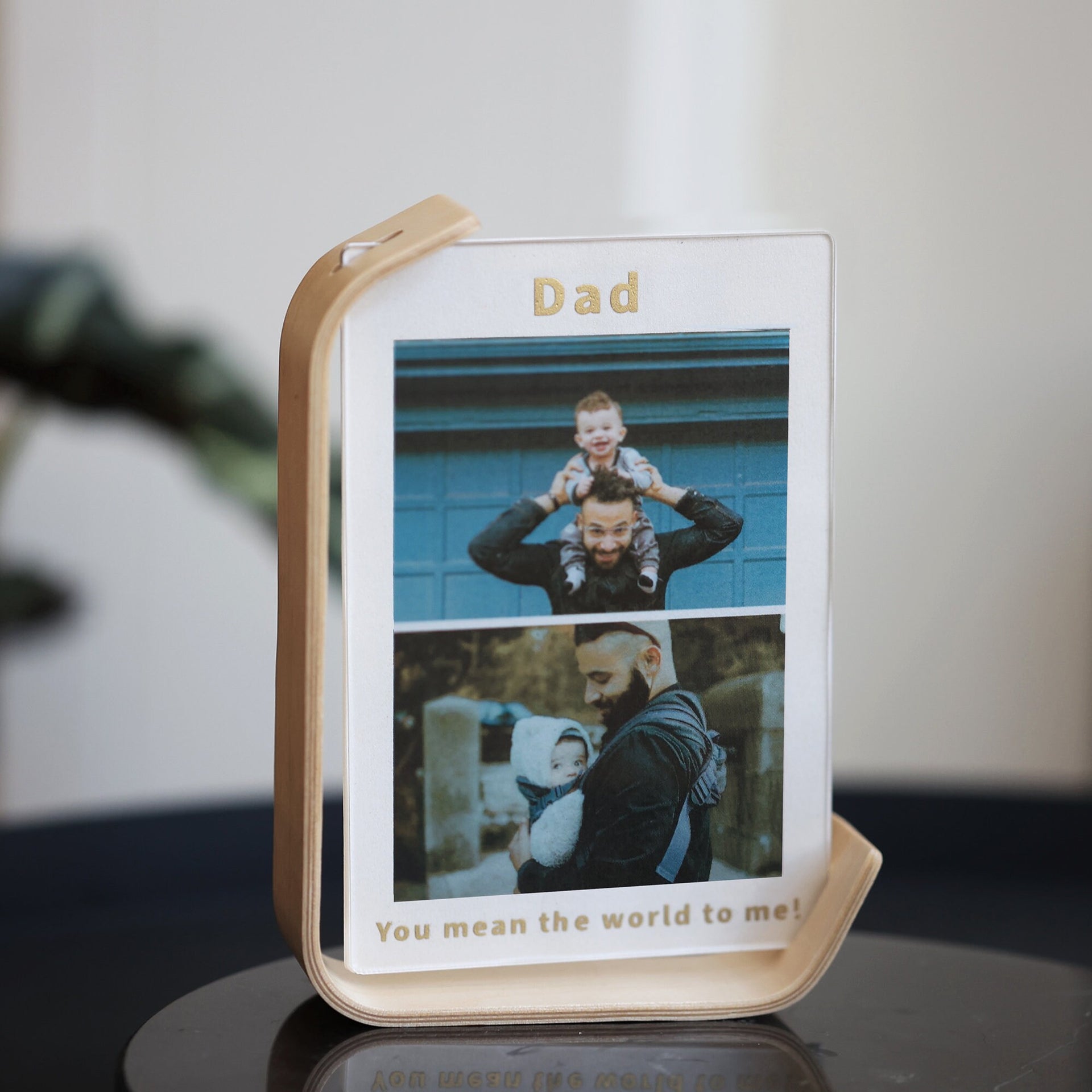 Floating Bent Birch Plywood Two Way Photo Display Frame