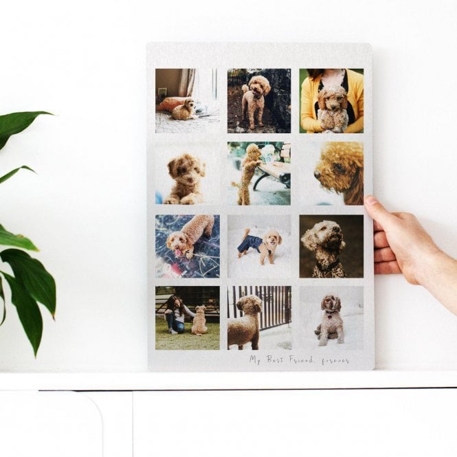 Personalised Man' s Best Friend Memories Metal Photo Collage